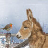 Christmas Donkey And Robin 10 Christmas Cards 15cm X 15cm