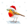 Christmas Watercolour Robin 10 Christmas Cards 15cm X 15cm