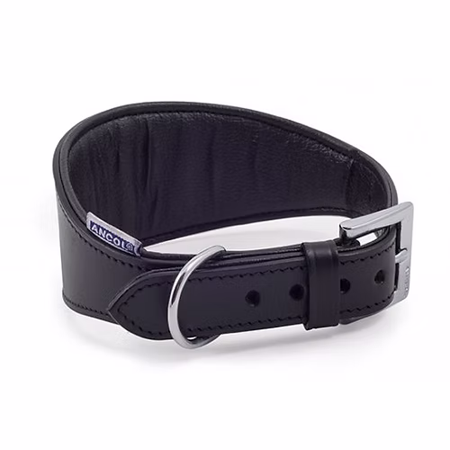 Whippet Padded Collar Black 30-34cm