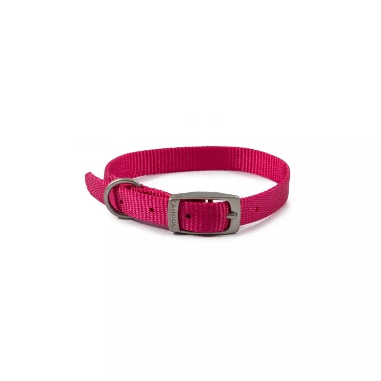 Nylon Collar Raspberry Size 5