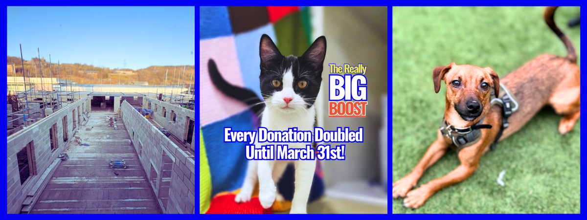 Copy of banners (20)