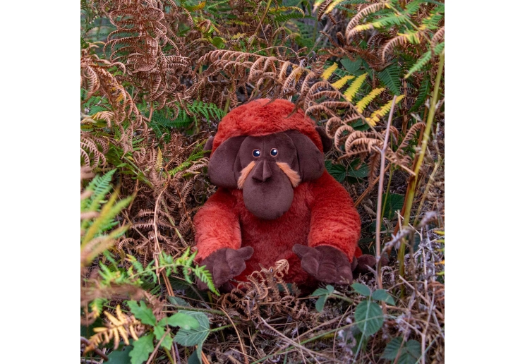 Made From Orangutan