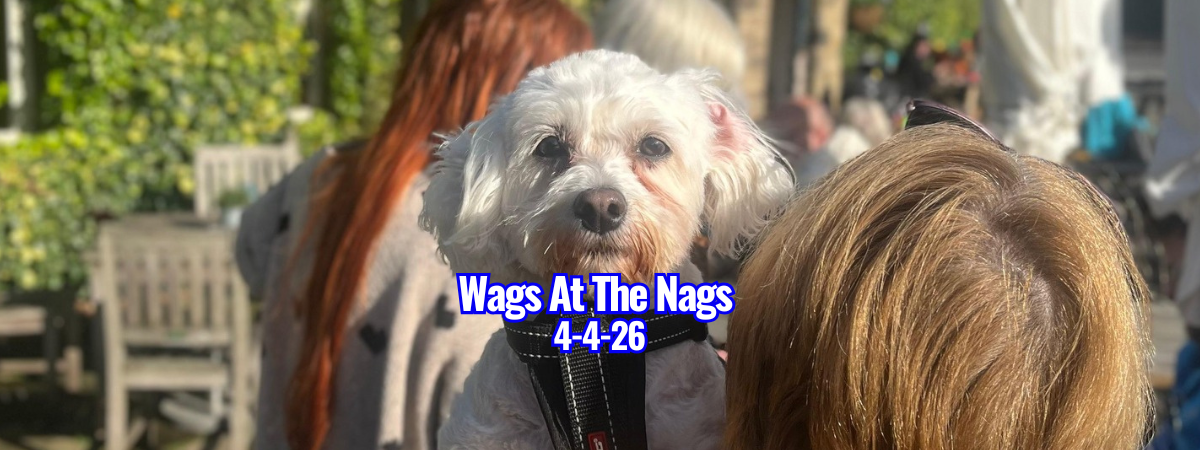 Copy of banners (25)