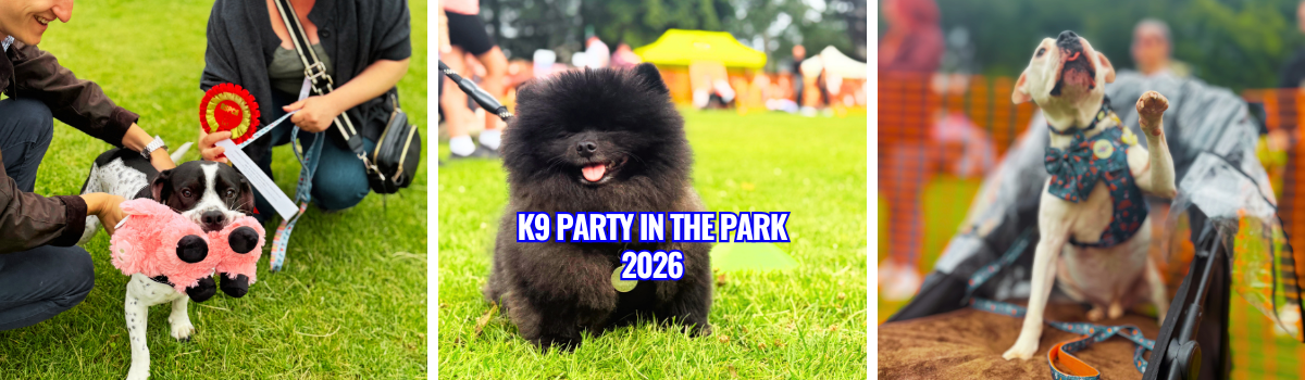 Copy of email banner (38)