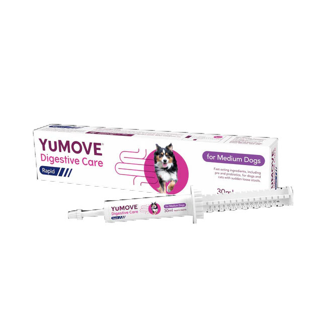 Yumove Digestive care rapid paste for medium dogs 30mls