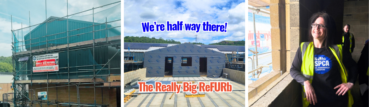 ALL FUNDS RAISED SUPPORT OUR REALLY BIG REFURB! (2)