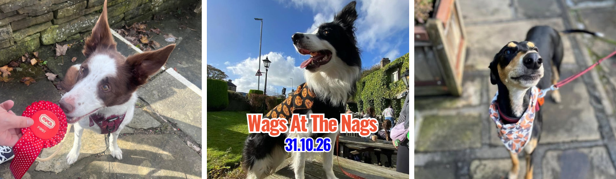 ALL FUNDS RAISED SUPPORT OUR REALLY BIG REFURB! (12)