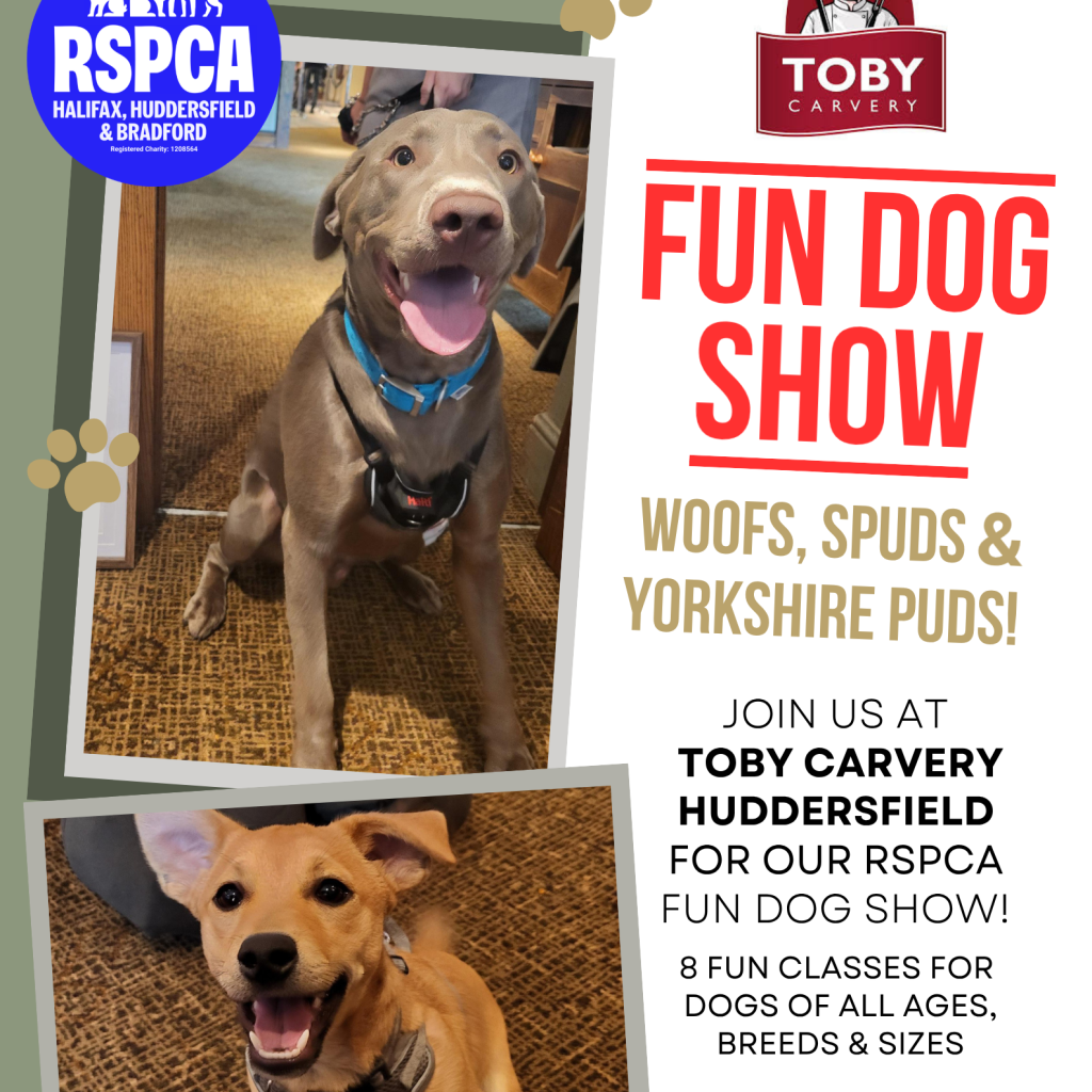TC Dog Show (1)