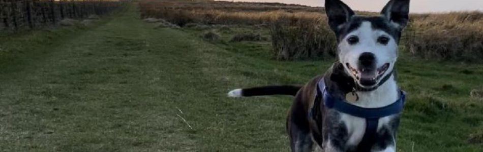 Untitled design (15)